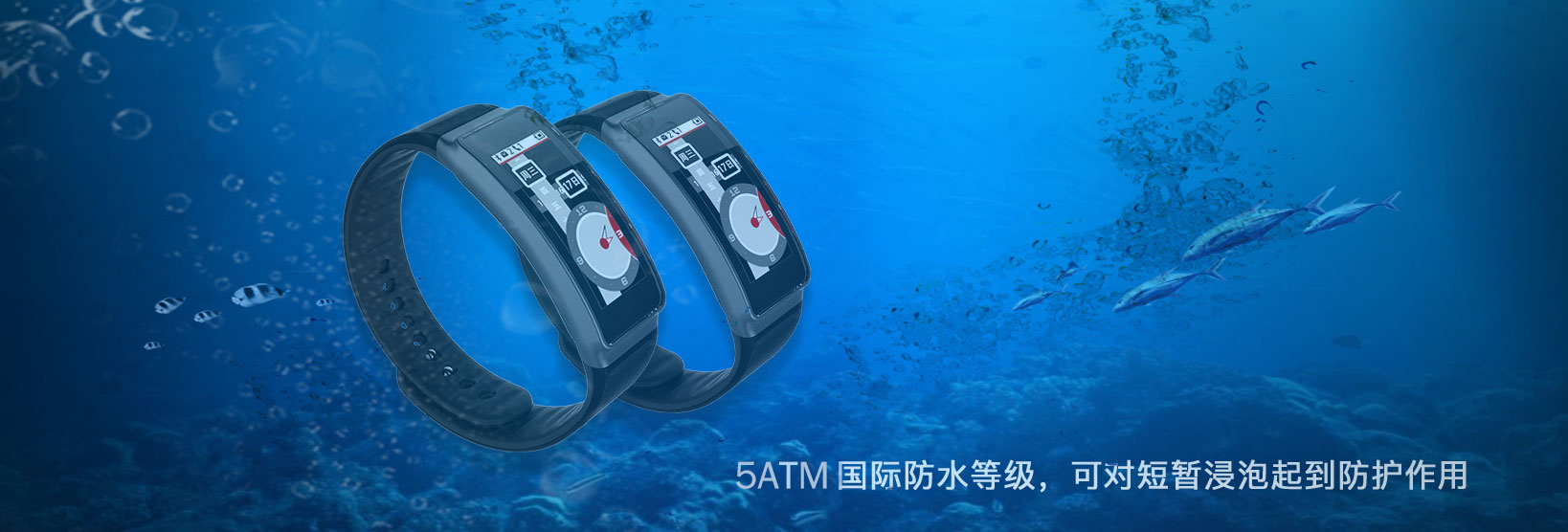 DB���ˡ�(�й���)�ٷ���վ