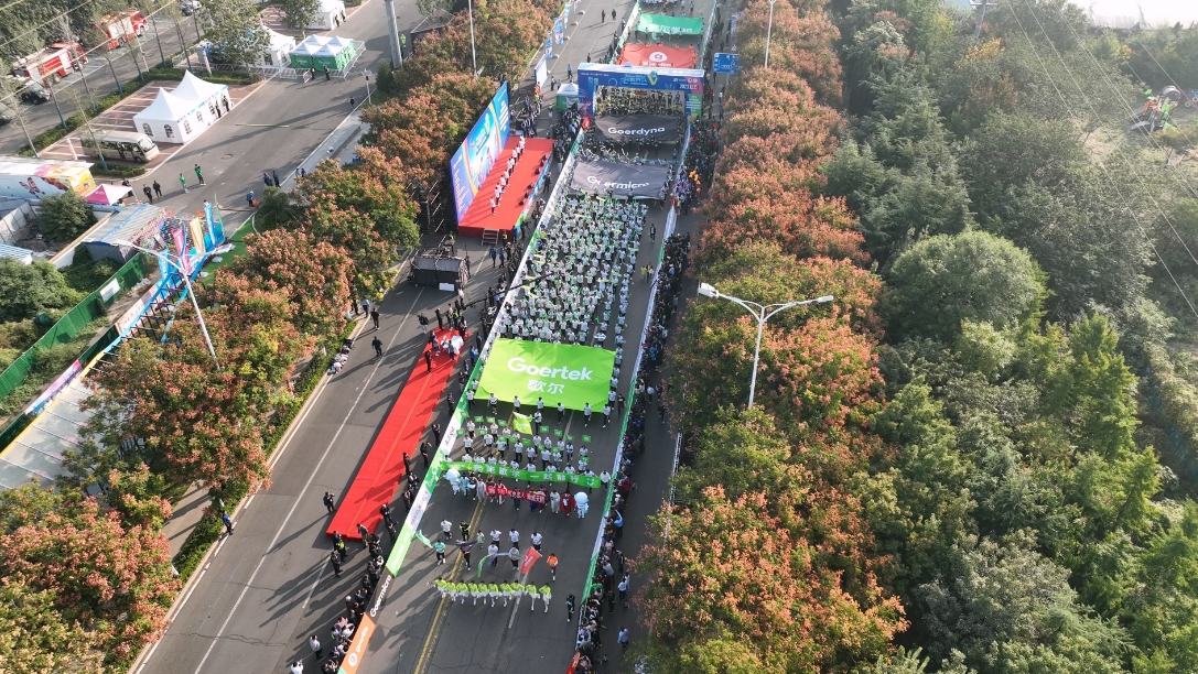 DB���ˡ�(�й���)�ٷ���վ